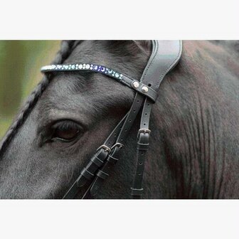 HKM hoofdstel -Port Royal-