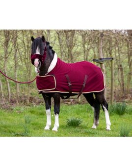 HB Showtime showdeken Dutch Crown little sizes burgundy