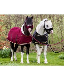 HB Showtime showdeken Dutch Crown little sizes burgundy