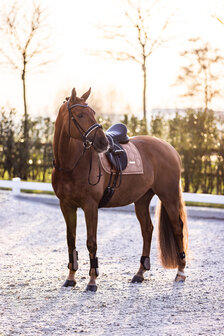 Imperial Riding peesbeschermers Lovely cappuccino