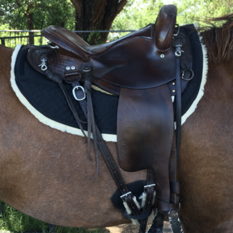 ThinLine wollen Western / Endurance pad