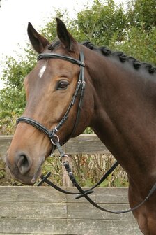 Harry&#039;s Horse bitloos kaakgekruist hoofdstel