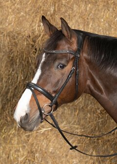 Harry&#039;s Horse hoofdstel Nero Soft zwart