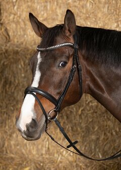 Harry&#039;s Horse hoofdstel Nero Soft zwart/zilver