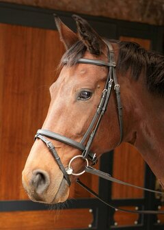 Harry&#039;s Horse hoofdstel Easy Care