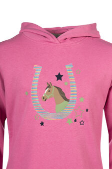 HKM hoody Diana roze