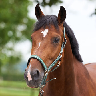 HV Polo halster Nena greenery