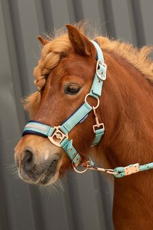 Harry&#039;s Horse halster set Samara canton