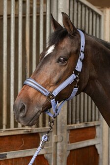 Harry&#039;s Horse halster set Samara marlin