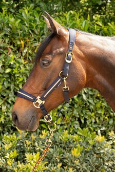 Harry&#039;s Horse halster set Valli blueberry