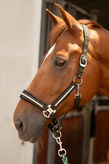 Harry&#039;s Horse halster set Valli rosin