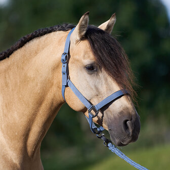 Imperial Riding halster Classic Sport moonstone