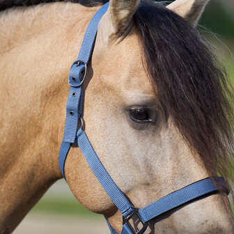 Imperial Riding halster Classic Sport moonstone