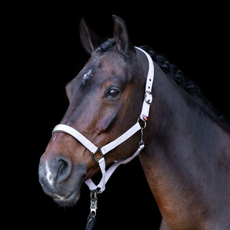 Imperial Riding halster Classic Sport ballerina