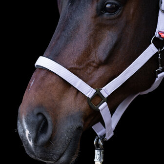 Imperial Riding halster Classic Sport ballerina