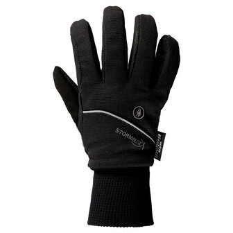 BR waterdichte winter handschoenen StormBloxx