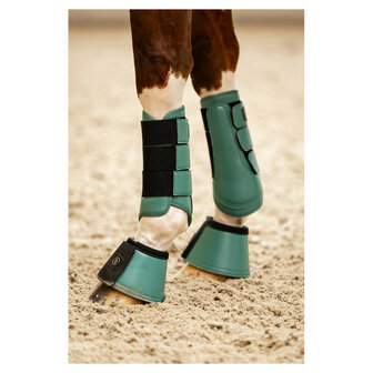BR beenbeschermers CLX Majestic sea spine