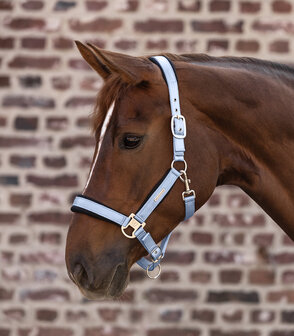 Waldhausen halster Breath pastel blauw