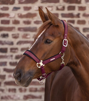 Waldhausen halster Breath velvet rood