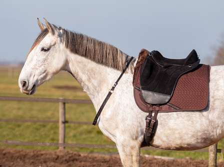 Edix barebackpad Union zwart