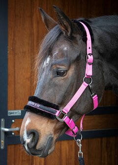 Harry&#039;s Horse halster Lyrics Quotes GIRL POWER roze