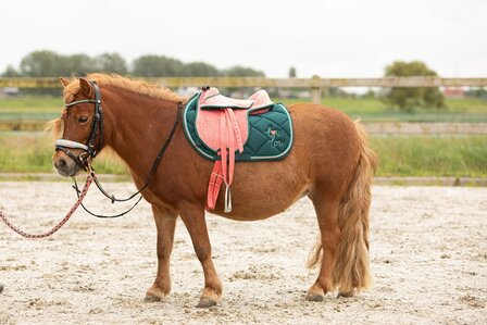 Harry&#039;s Horse kinderzadel LouLou25