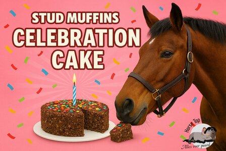 Stud Muffins celebration cake 600 gram