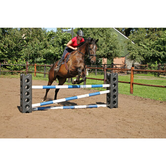 Excellent Horse Cube