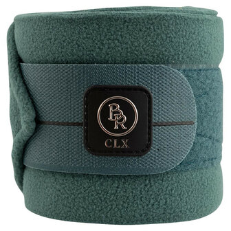 BR CLX bandages sea spine