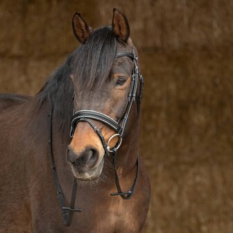 Harry&#039;s Horse hoofdstel Sparkle