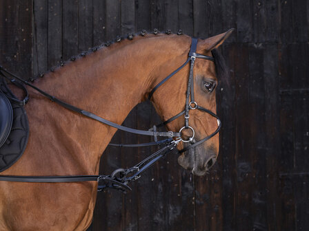 Riding World leren bijzetteugels zwart