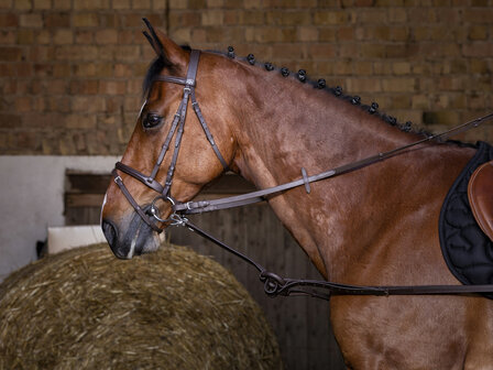 Riding World leren bijzetteugels havanna