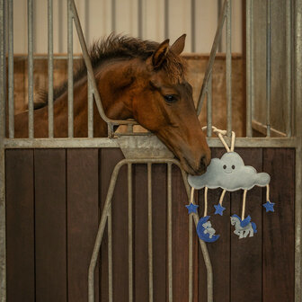 QHP paardenspeelgoed Novy blauw