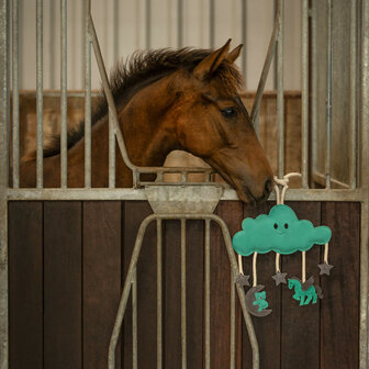 QHP paardenspeelgoed Novy groen