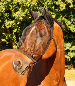 Lichtgewicht vliegenmasker met elastische rand. Biedt bescherming voor de gevoelige ogen en oren van het paard tegen vervelende