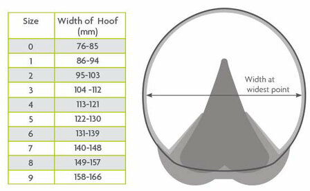 Woofwear medical hoof boot
