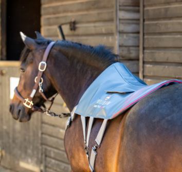 Equilibrium Massage Pad Heatsense Small