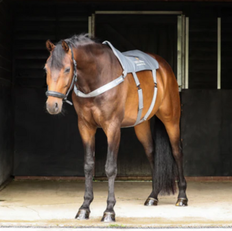 Equilibrium Massage Pad Standard