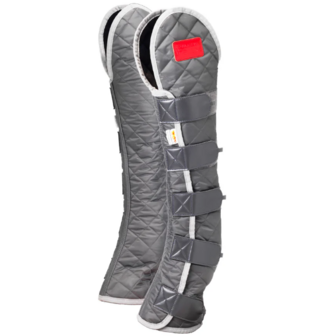 Equilibrium Magnetic hind and hock chaps