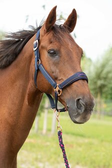 Harry&#039;s Horse halsterset Just Ride NightSky