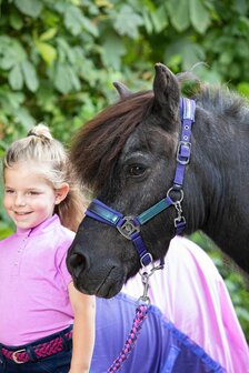 Harry&#039;s Horse halsterset Diva Violet wisteria