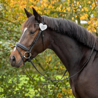 QHP startnummers Heart zilver