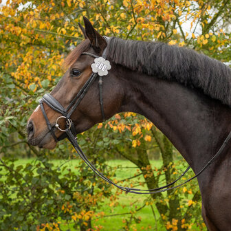 QHP startnummers Clover