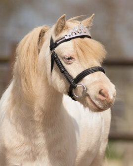 QHP kroon paard zilver