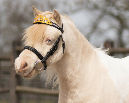 QHP kroon paard goud