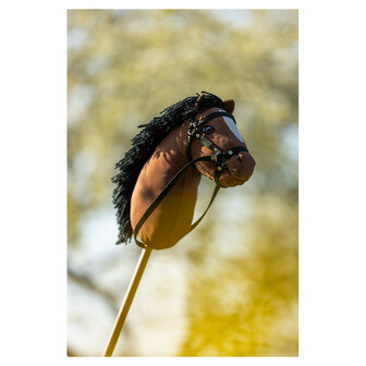 BR Hobby Horse Bella