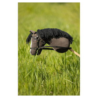 BR Hobby Horse Prince