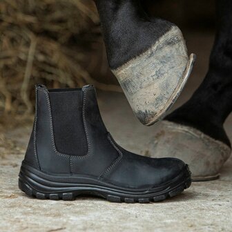 Harry&#039;s Horse leren jodphurs Safety Steel Toe stalen neus