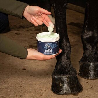 Harry&#039;s Horse koeling gel 500ml