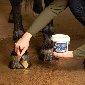 Harry&#039;s Horse hoefvet 500ml geel